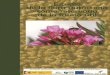 Estudio de la flora autóctona - Programa Empleaverde · El objetivo de este estudio es ayudar a los agricultores a crear una agricultura sosteni-ble en sus cultivos equilibrando
