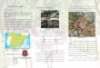 Triptico d a de las vias verdes.docx) - Ciudad Real · 2018. 4. 6. · Title (Microsoft Word - Triptico d a de las vias verdes.docx) Author: lim_jluis Created Date: 5/2/2013 11:09:33