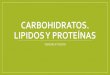 CARBOHIDRATOS. LIPIDOS Y PROTEÍNAS€¦ · carbohidratos en cierta proporción. A partir del dióxido de carbono y agua, las plantas sintetizan los carbohidratos, en un proceso denominado