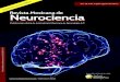 Revista Mexicana de Neurocienciaprevious.revmexneurociencia.com/wp-content/uploads/...Figura Compleja de Rey (memoria) y la prueba de Memoria de Ardila para la memoria verbal, pruebas
