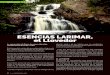 ESENCIAS LARIMAR, el Llovedor - Centro de Terapias ...terapiasnaturalesraquelcabo.com/.../04/...llovedor.pdfde una conversación interior entre el sintonizador de la flor y la energía