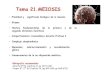 01Tema 21. Meiosis 2016 - Academia Cartagena99 2… · Tema 21.MEIOSIS • Finalidad y ... •1 célula diploide , como consecuencia de la meiosis , dará lugar a 4 células haploides