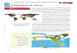 GUIA #5 DE CIENCIAS SOCIALES 6° · 2020. 9. 3. · los continentes: Arné- rica, Asia y Oceanía. Observa en el mapa las tres supuestas ru- tas migratorias de los primeros pobladores