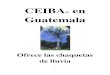 CEIBA en Guatemala...CEIBA presenta su producto en Guatemala con interés y cariño en la cultura Guatemalteco. Las fundadoras de CEIBA tienen una relación positiva con la cultura