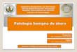 Patología benigna de útero · 2020. 5. 11. · Patología benigna de útero República Bolivariana de Venezuela Universidad Central de Venezuela Hospital Universitario de Caracas