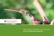 Biodiversidad terrestre en la Macaronesia...Amenazadas Prioritarias de la Macaronesia y la Lista Top 100 Especies Exóticas Invasoras de la Macaronesia, hecho que permite dirigir de