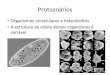 biologiacrns.files.wordpress.com · 2016. 6. 28. · Fileiras de cílios Figura 2.7 — Mobilidade celular: propulsäo ciliar. (A) Ondas metacrônicas de batimento ciliar em protozoário