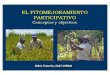 EL FITOMEJORAMIENTO PARTICIPATIVOselection-participative.cirad.fr/content/download/873/...ØDesarrollar variedades de frijol resistentes al Mosaíco Dorado con calidad de grano para