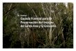 Proyecto: Guarda Forestal para la ... - Amigos del Bosque€¦ · El bosque y el arbolado urbanizado se integran como una específica condicionante a la definición microclimática