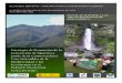 Estrategia de Promoción de la Generación de Ingresos a ...€¦ · Para la provincia de Chiriquí, la zona boscosa del Parque Nacional Volcán Barú, es una de las principales generadoras