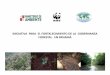 INICIATIVA PARA EL FORTALECIMIENTO DE LA GOBERNANZA … · 2016. 6. 23. · puente para el flujo de vida al conectar el Complejo Eco regional Choco - Darién con el Corredor Biológico