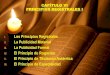 Los Principios Registrales II. La Publicidad Material III. La Publicidad …notariahinostroza.com.pe/notariaweb/attachments/article... · 2020. 4. 22. · LA PUBLICIDAD MATERIAL PUBLICIDAD