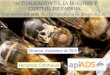 CONTROL DE VARROA,apiads.es/wp-content/uploads/2020/01/VARROOSIS-control-sostenibl… · En España comienza a usarse poco después de la llegada de varroa en 1985-1986. ENSAYO CON