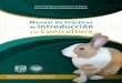 Facultad de Medicina Veterinaria y Zootecnia // UNAM · 2020. 9. 23. · Parte: queso de conejo y mortadela 31 Bibliografía 35. 8 Introducción I ntroducción a la Cunicultura es
