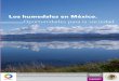 Los humedales en México.€¦ · pastizales marinos, marismas y oasis en los desiertos, manglares y petenes, humedales her-báceos de agua dulce (popales, tulares), palmares y selvas