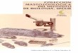 Instituto de Biología, UNAM · 2014. 7. 1. · ESTADO ACTUAL DE LA COLECCION DE MAMIFEROS DE LA UNAM La Colección incluye actualmente 17057 ejemplares; 15314 en piel y cráneo,
