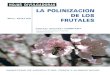LA POLINI2ACION DE LOS - WordPress.com...LA POLINIZACION DE LOS FRUTALES Se entiende por polinización el transporte del polen desde las anteras al estigma en el momento de la antesis