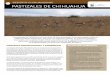 05 pastizales de chihuahua...en el estado de Chihuahua riegan cerca de 338,000 hectáreas con una baja rentabilidad debido a lo obsoleto de las técnicas utilizadas. Originalmente