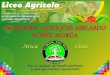 Por el cuidado del medio ambiente y una agricultura sustentable - … · 2018. 10. 14. · • La Región de Arica y Parinacota esta situada a los 18°28’ de latitud Sur y 70°
