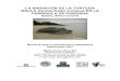LA ANIDACIÓN DE LA TORTUGA BAULA Dermochelys coriacea EN LA PENÍNSULA DE … · 2009. 11. 29. · “La anidación de la tortuga laúd en la Península de Pongara, Gabón, África