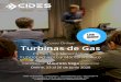 Curso Online Turbinas de GasTurbinas de Gas Partes Fundamentales, Funcionamiento y Mantenimiento Facilitador: Mauricio Vega (Argentina) Online, 23 al 26 de Junio 2020 CIDES Corpotraining