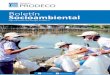Ajuste Boletín socioambiental Puerto Nuevo · 2020. 11. 13. · Operaciones del Grupo Prodeco Socioambiental 2018 – II 3 SOCIAL LOCAL DESARROLLO DEL CAPITAL Nombre del programa: