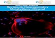 RevOstMM Vol 12-2-2020 MaquetaciÛn 1 - Revista de ......Departamento de Anatomía y Biología Celular. Departamento de Medicina, División de Endocrinología. Universidad de Indiana