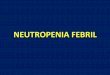 NEUTROPENIA FEBRIL - Sociedad de Medicina Interna de Buenos … · 2020. 8. 26. · Tratamiento empírico inicial en pacientes de alto riesgo Antibióticos de elección 1. Piperacilina