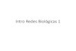 Intro Redes Biológicas 1materias.df.uba.ar/scytda2020c1/files/2020/04/04_Intro... · 2020. 4. 23. · Intro Redes Biológicas 1 . Cuestión de escala Sistemas biológicos: complejidad