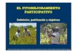 Definición, justificación y objetivos - Ciradfitomejoramiento-participativo.cirad.fr/content/download/728/3720/fil… · Definición, justificación y objetivos ... Manejo agronómico