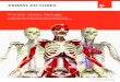 Premier Library Packagebeta.anatomy.tv/static/atvresources/pdf/Premier... · anatómica detallada relevante para mis actividades inmediatas, ya sea explorando a un paciente, aplicando