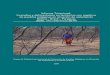 Informe Trinacional: Incendios y deforestación en territorios con ...€¦ · Asunta Mancari, residente de la Chiquitanía, Bolivia. Alguien vino a quemar la casa de los aislados