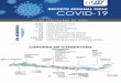 REPORTE SEMANAL CHILE COVID-19 · 2020. 9. 9. · reporte semanal chile covid-19 0 7 d e s e p t i em b r e d e 2 0 2 0 os total casos activos casos nuevos casos asintomÁticos total