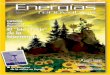 ESPECIAL Biocarburantes El “bio-crucis” de la bioenergía...Cuando algo falla 38 Los mil días de una instalación solar térmica 42 ESPECIAL biomasa y biocarburantes El fracaso