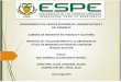 Presentación de PowerPoint - ESPErepositorio.espe.edu.ec/bitstream/21000/9397/2/T... · departamento de ciencias econÓmicas, administrativas y del comercio carrera de ingenierÍa