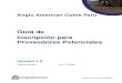 Guía de Inscripción para Proveedores Potenciales/media/Files/A/Anglo... · 2020. 11. 5. · Anglo American Cobre Perú Guía de Inscripción para Proveedores Potenciales Versión