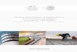 Nuevo Aeropuerto Internacional de la Ciudad de M xicoaeropuerto.gacm.mx/2018/aeropuerto/doc/pdf/naicm... · 2020. 3. 19. · Plan Maestro del NAICM, 2015. 15. NUEVO AEROPUERTO INTERNACIONAL
