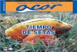 TIEMPO DE SETAS - Cooperativa ACORacor.es/NdSite/OnLineCache/FMS/23/62... · 2020. 9. 23. · curso, lo que obligará a la UE a obtener productos de calidad, o realizar innovaciones