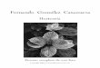 Hortensia - Estudio Casanueva · 2009. 3. 18. · Componon S 150 mm. La copia se realizó en papel Ilford Galerie grado 2º (FB). El tiempo standard de positivado (TSP) averiguado