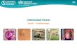 bvsalud.orgClase 3 - Vectores Clase 4 - Reservorios Organización Panamericana de la Salud Organización Mundial de la Salud Clase 1 Leishmaniasis Visceral: Definición y aspectos