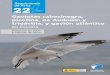 22 - SEO/BirdLife · 2018. 5. 4. · La gaviota de Audouin es la especie para la que España tiene una mayor respon-sabilidad, ya que acoge en su territorio el grueso de la población