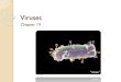 Ch. 19 Viruses - WordPress.com · 2018. 2. 23. · Components = nucleic acid+ capsid Nucleic acid: DNA or RNA (double or single-stranded) Capsid: protein shell Some viruses also have