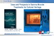 Uses and Prospects in Gamma Biocide Treatments for Cultural … · 2017. 4. 26. · Laurent Cortella, Claudia Salvan, Christophe Albino, Quoc Khoi Tran ARC-Nucléart, CEA Grenoble,