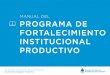 MANUAL DEL PROGRAMA DE FORTALECIMIENTO ......MANUAL DEL PROGRAMA DE FORTALECIMIENTO INSTITUCIONAL PRODUCTIVO 5 BENEFICIOS DEL PROGRAMA 1-Asistencia financiera (AF) para el desarrollo