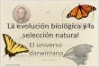 La selección naturalgenetica.uab.cat/base/continguts/documents/documents.asp?... · 2020. 5. 23. · El relojero ciego William Paley 1802: Teología natural . Primera definición