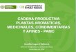 CADENA PRODUCTIVA PLANTAS AROMATICAS, MEDICINALES, … · 2019. 6. 25. · 1.1.3 Empleo directo generado en la actividad de cultivo ... Cuervo, Jairo Leornardo. (2012). Manual de
