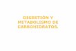 DIGESTIÓN Y METABOLISMO DE CARBOHIDRATOS. · 2013. 9. 9. · CARBOHIDRATOS • BOCA La digestión de los carbohidratos ocurre en la boca y en el intestino delgado . Las glándulas