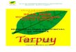 PLAN DE GOBIERNO MUNICIPAL 2019- 2022 · 2020. 12. 19. · PLAN DE GOBIERNO PROVINCIAL MOVIMIENTO REGIONAL “QATUN TARPUY” Mov. Reg. “Qatun Tarpuy” HISTORIALES Qatun Tarpuy