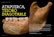 Grandes temas En busca del primer europeo ATAPUERCA ... · dos en Atapuerca supera a cualquier otro del Pleistoceno, donde solo una pequeña cantidad de yacimientos proporciona fó-siles