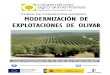 FOR MACIÓN GENERAL MODERNIZACIÓN DE ......- DISEÑO DE PLANTACIONES: Olivar convencional, olivar intensivo, olivar superintensivo. Jueves 19 de abril de 16:00h a 21:00h - SISTEMAS
